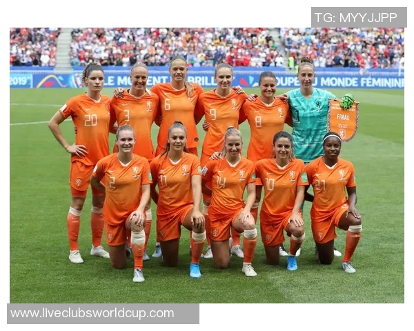 2018年国际足联世界杯季军争夺战荷兰队对英格兰队精彩回顾与分析