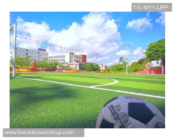 从零起步掌握飞盘技巧与团队协作的全面指南